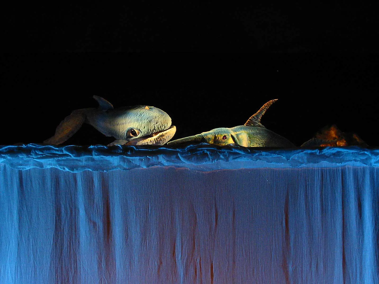 Habanera Teatro, Azzurra balena.